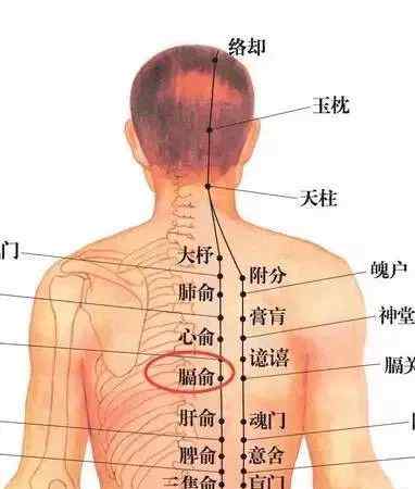 老鼠瘡 “一針一穴”治療頸淋巴結(jié)核