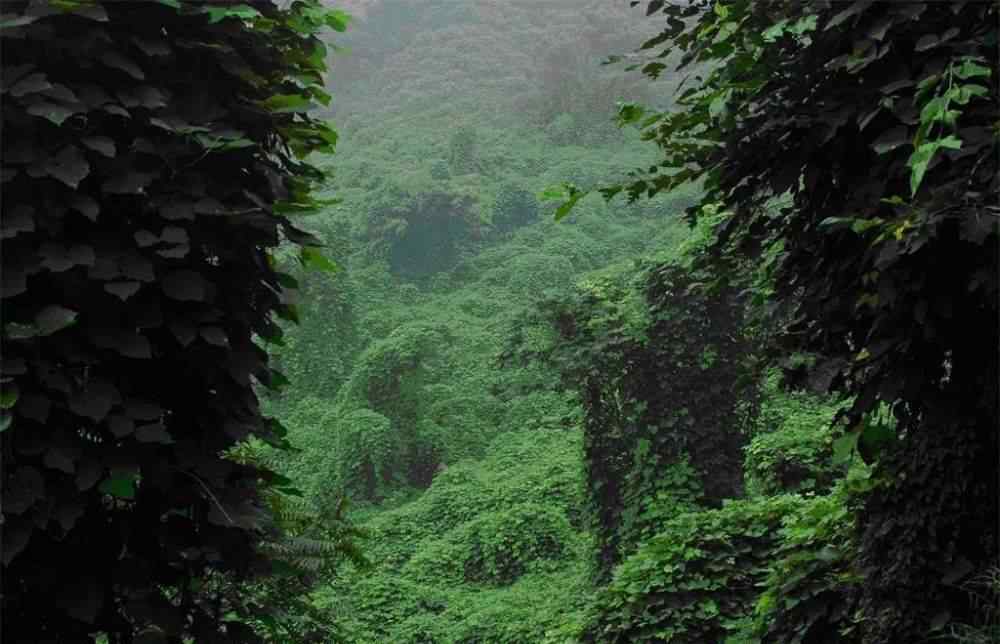 平山騰龍山 平山藤龍山景區(qū)重要公告！