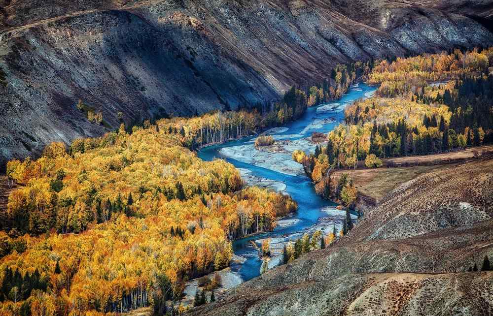 樹樹皆秋色山山唯落暉 樹樹皆秋色，山山唯落暉