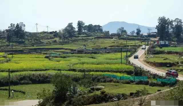 大姆山草場 “福建人的內蒙古草原”福清大姆山草場