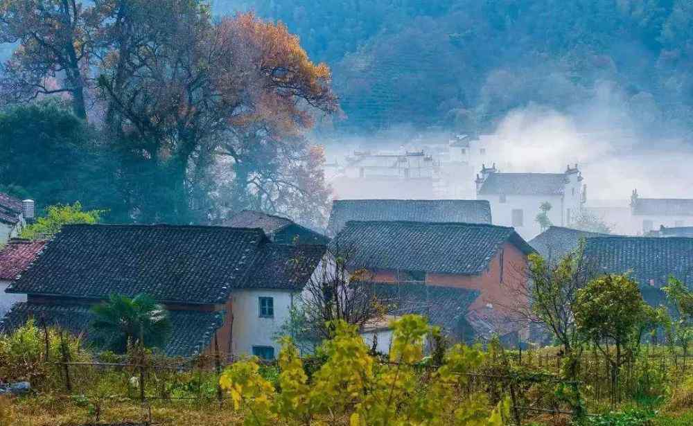 南京薰衣草莊園 門票免費(fèi)！南京這7個(gè)低調(diào)小山村，一年四季都很美，去一次絕對不夠！