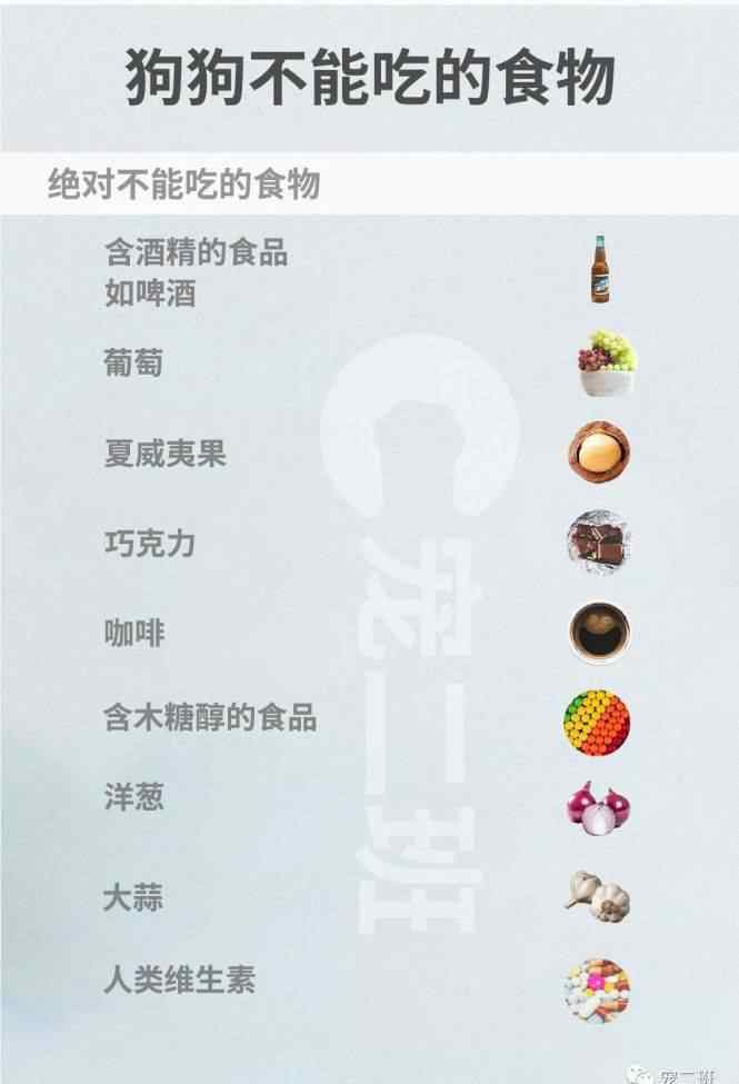 狗狗不能吃的東西 人吃的美食，狗狗能食用嗎？最全的狗狗不能吃的東西