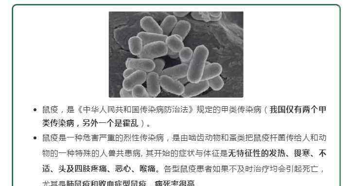 人間鼠疫 廣東人間鼠疫已靜息66年，省疾控：鼠疫可防可治，無需恐慌……