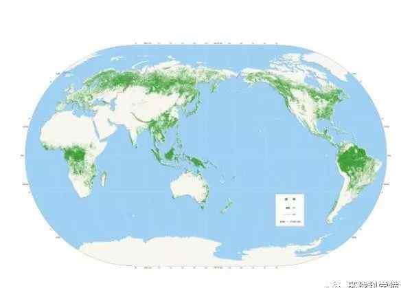 《森林》完整大地圖 森林灌木叢地圖更新，中國(guó)分布均勻，森林覆蓋率大增，華南更綠了