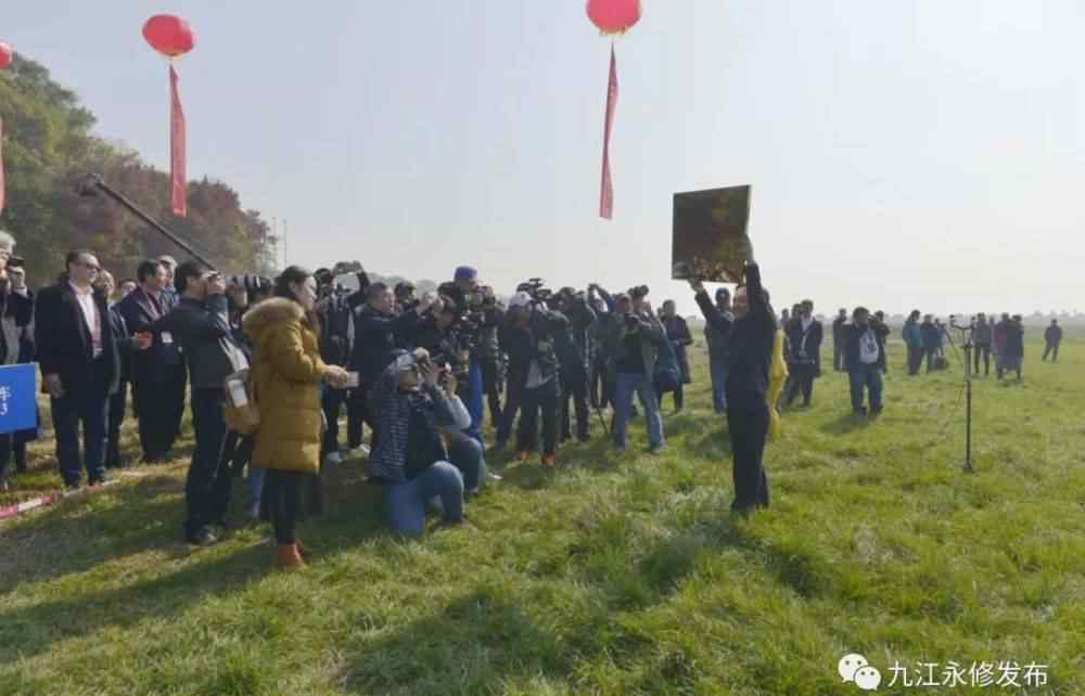 中國永修 真棒！永修縣吳城鎮(zhèn)成為“中國候鳥小鎮(zhèn)”啦！