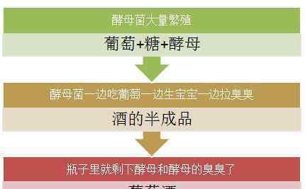 酵母抽提物 酵母提取物是什么？名膜壹號這個成分的真相到底是什么？