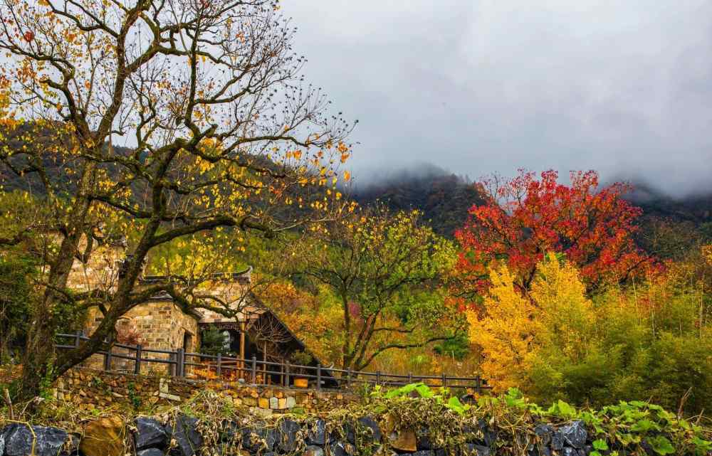 樹樹皆秋色山山唯落暉 樹樹皆秋色，山山唯落暉