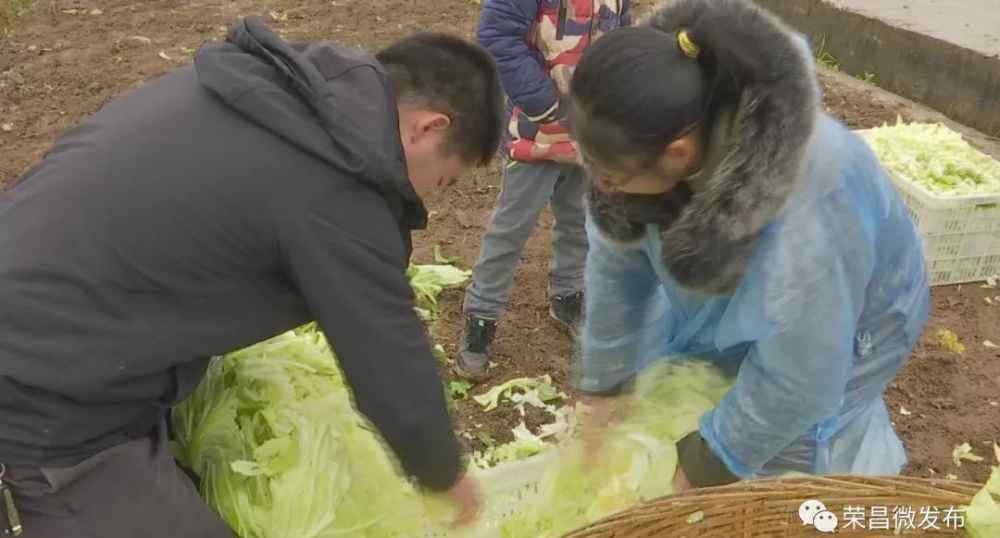 蓮白 看熱鬧啦！第四屆“吳家脆蓮白”文化節(jié)昨日舉行