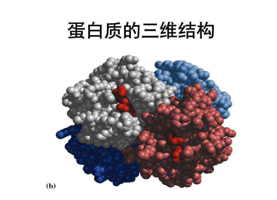 物質(zhì)循環(huán) 生命的本質(zhì)，其實它只是一個物質(zhì)循環(huán)系統(tǒng)而已