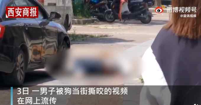 江蘇一男子醉酒逗狗被當(dāng)街撕咬 警方：已無大礙