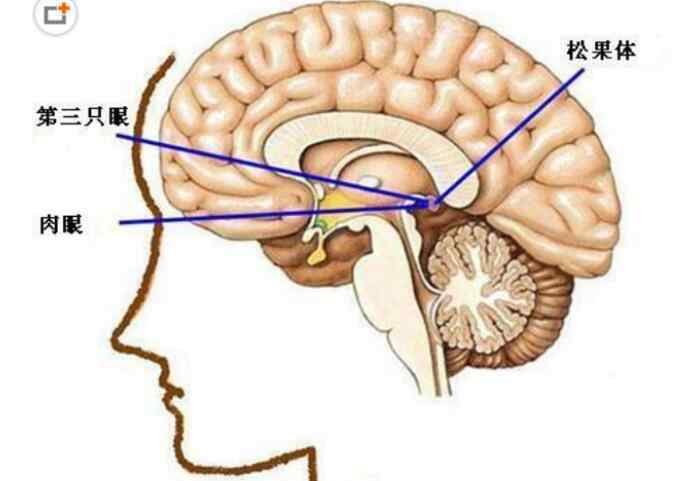 開了天眼的人后果 開了天眼的人后果有哪些，開了天眼的人啥特征？