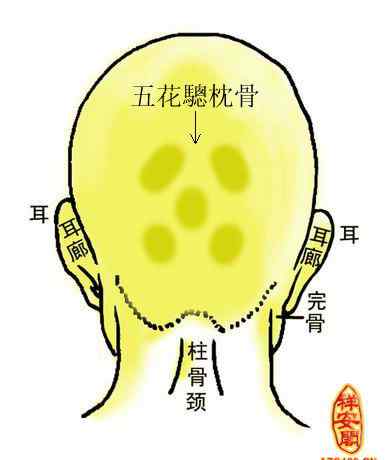 枕骨 什么是五枕骨？平后腦勺、凸后腦勺也會(huì)影響命運(yùn)