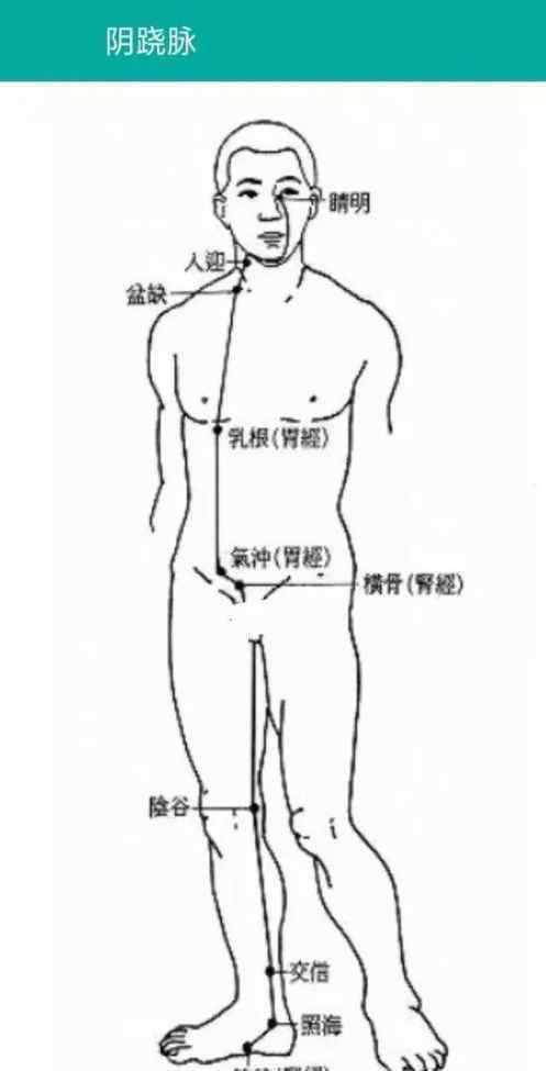 任脈督脈 奇經(jīng)八脈中以任脈、督脈的穴位運用最廣