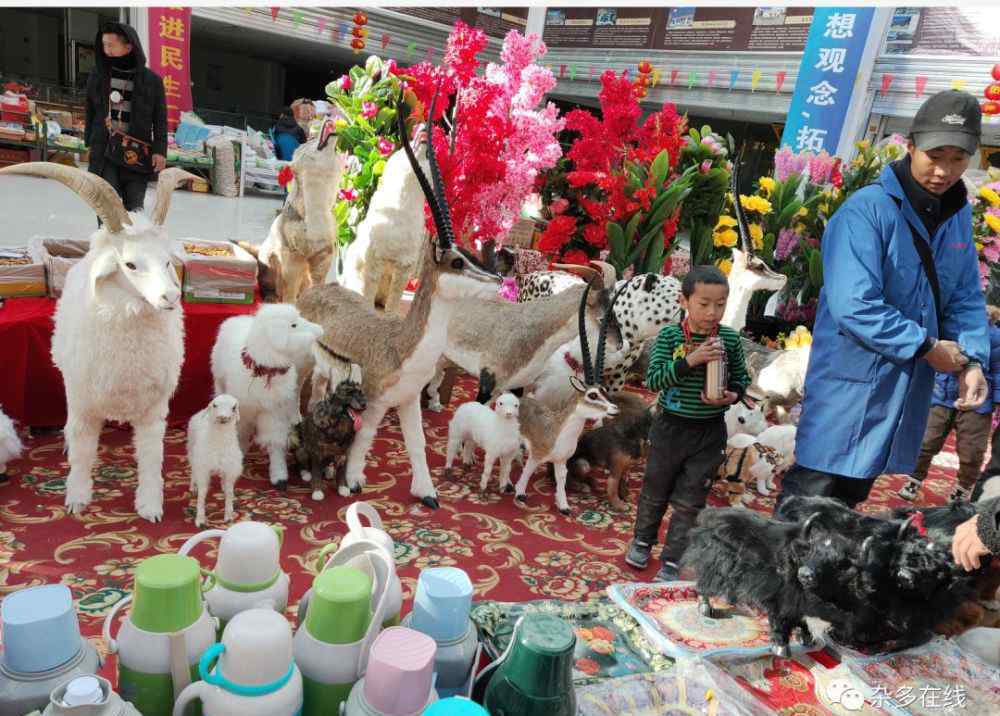 冬蟲夏草哪里買 年貨哪里買？蟲草市場全都有哦！