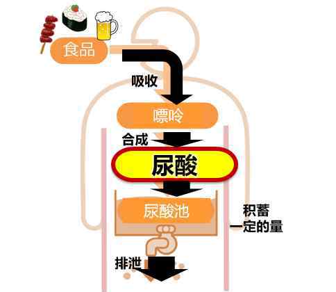 facle FANCL HealthScience降尿酸健康食品為你保駕護(hù)航