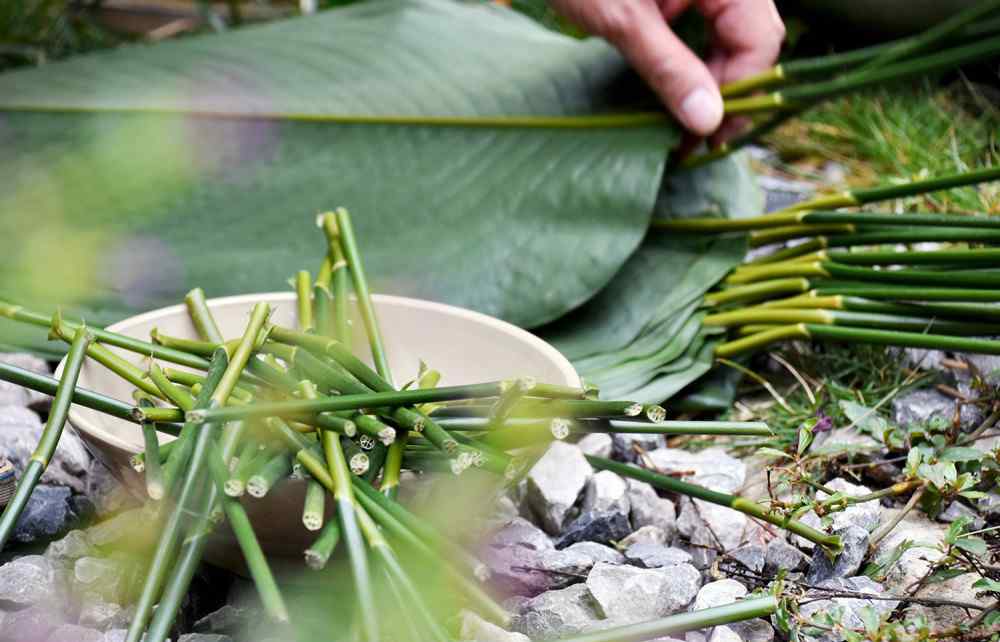 野黃皮 一只會講廣西故事的非遺粽