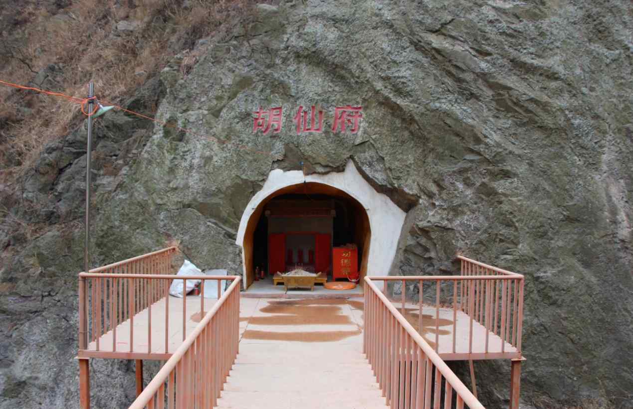 胡仙 胡三太爺廟在青島哪里，胡三太爺和胡仙爺誰大