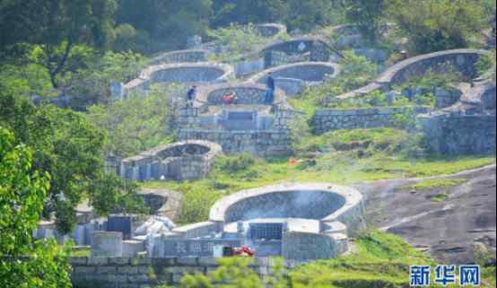 墳前栽樹(shù)正確位置圖片 墓地栽樹(shù)怎樣風(fēng)水好來(lái)看圖片，墓地種什么花可以旺后人？