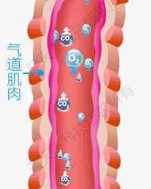 如何治療氣管炎哮喘 氣管炎、肺氣腫、慢阻肺、哮喘引起的咳嗽、氣喘怎么治療？