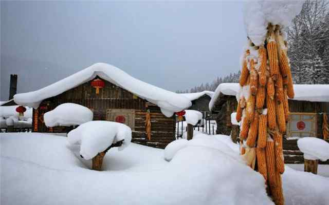 臘月雪 臘月賞詩：臘前三白，春到西園還見雪，這個三白，是指什么？