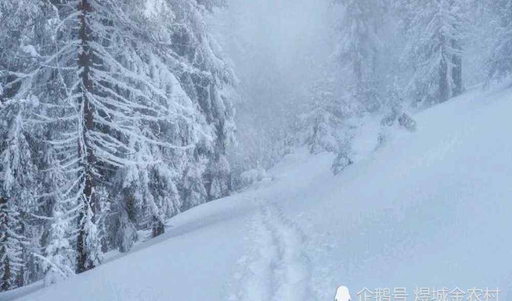 一九二九不出手 農(nóng)村俗語(yǔ)：“一九二九不出手”是什么意思，今年的冬天有多冷？