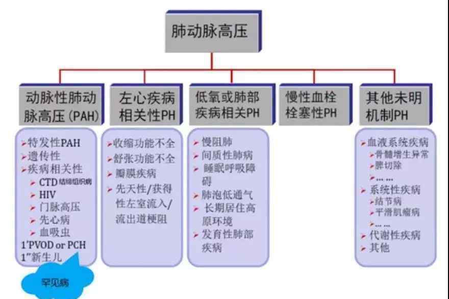 肺動脈高壓能治嗎 查出肺動脈高壓，嚴重嗎？能治嗎？