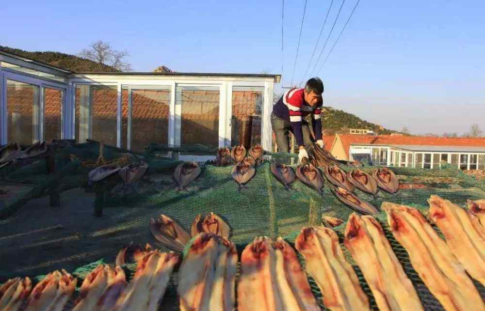 鲅魚(yú)餅子 鲅魚(yú)、鰻魚(yú)、鼓眼魚(yú)…青島這里的甜曬魚(yú)全國(guó)出名