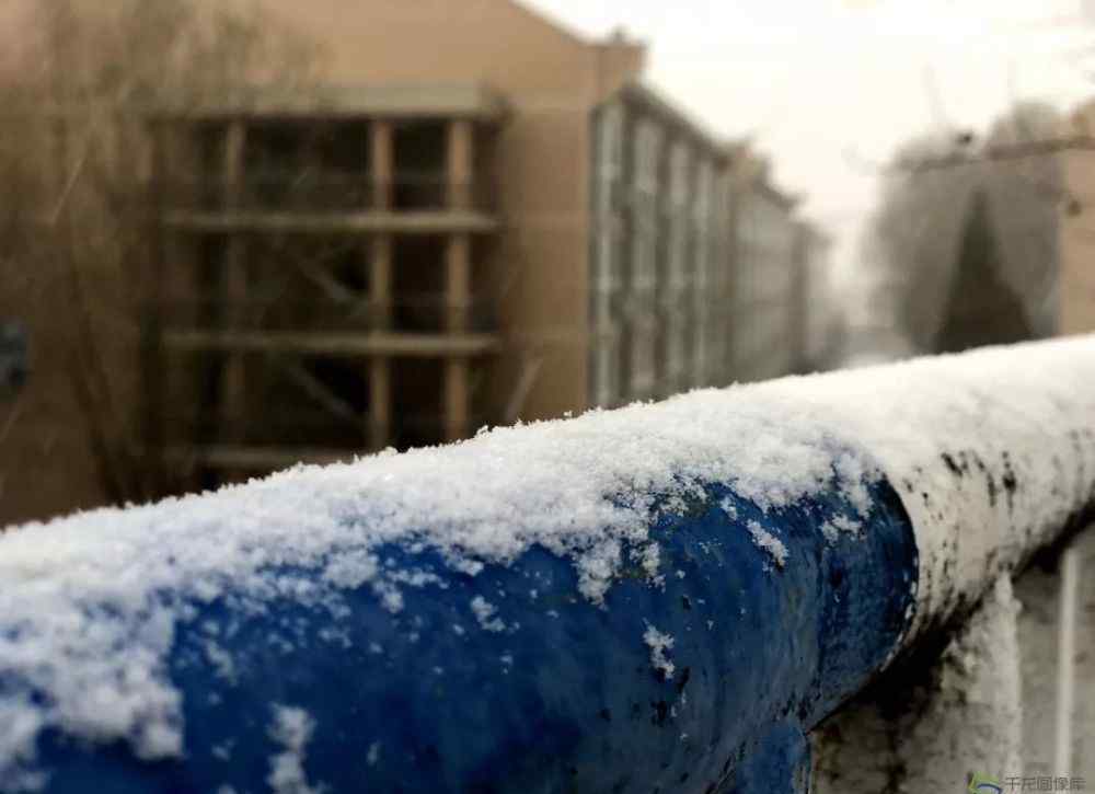 北京道落雪了 雪花進(jìn)京！坐標(biāo)延慶 這波冬季雪景圖美翻了