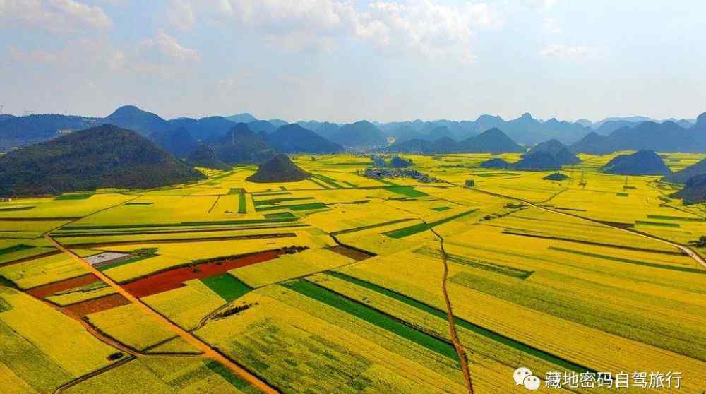 云南羅平油菜花旅游 來(lái)羅平賞百萬(wàn)畝油菜花—感覺(jué)云南最美春天！