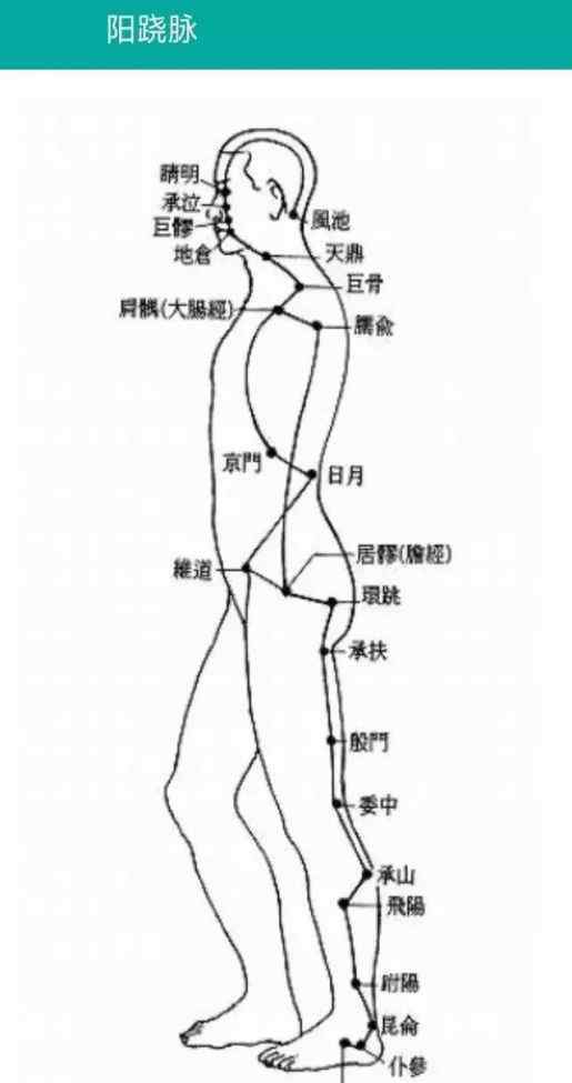 任脈督脈 奇經(jīng)八脈中以任脈、督脈的穴位運用最廣