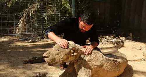 動物園的真相 世界上最可怕的動物園