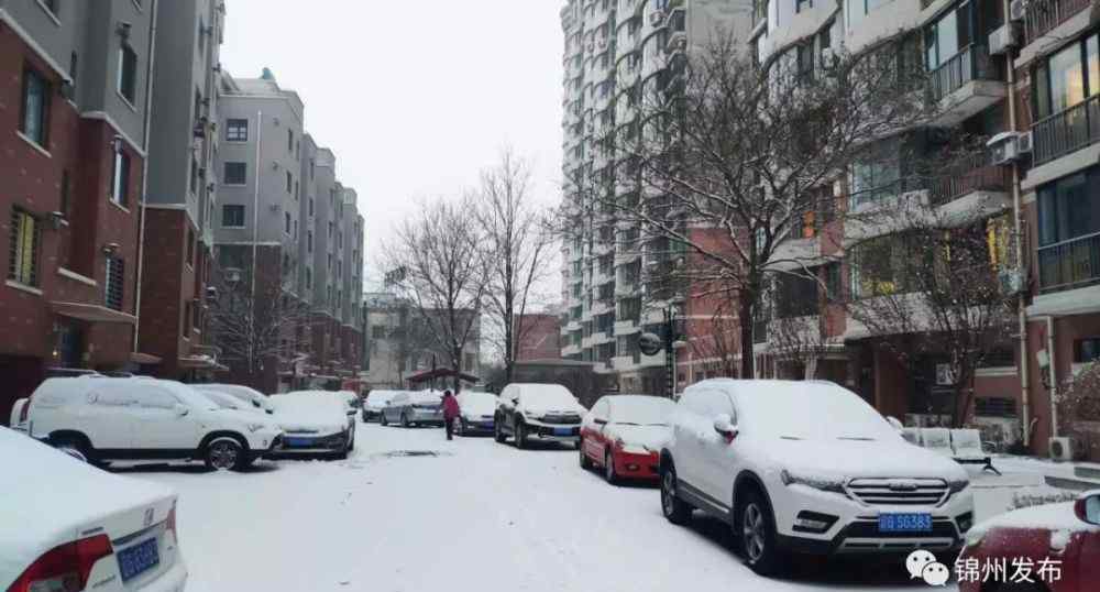 錦州天氣預(yù)警 錦州氣象臺剛剛發(fā)布大雪黃色預(yù)警，雪還會下多久？下周氣溫變化大嗎？