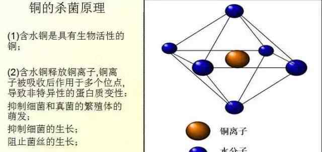 松脂酸銅 為何松脂酸銅是替代波爾多液的理想殺菌劑？這里給你答案