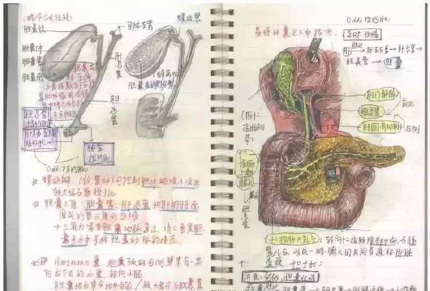 性自虐 浙大學霸逆天筆記曝光：高手都是持續(xù)性自律