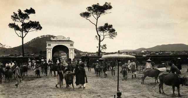 越南殺豬 百年前越南祭天前殺豬宰牛真實(shí)場景：官員穿漢服監(jiān)督，十分隆重