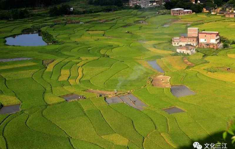 陽(yáng)春風(fēng)水大師 李郁風(fēng)水傳奇