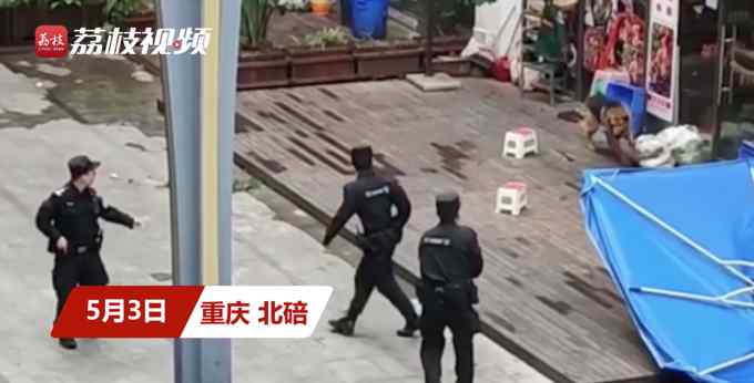 民警當街槍擊德牧？警方回應(yīng)：有報警稱流浪犬撲咬群眾