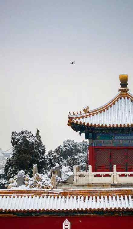 北京大雪圖片 北京大雪 ，20張故宮絕美雪景，請(qǐng)查收！