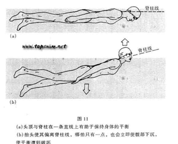 水平衡 什么是水中平衡？