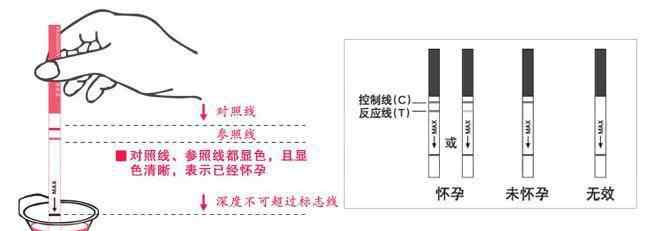 表示已懷孕的試紙圖片 你所測到的雙杠杠，不一定表示你懷孕了！