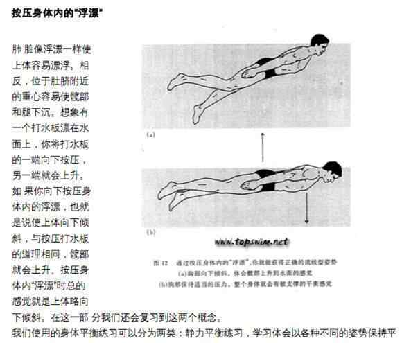 水平衡 什么是水中平衡？