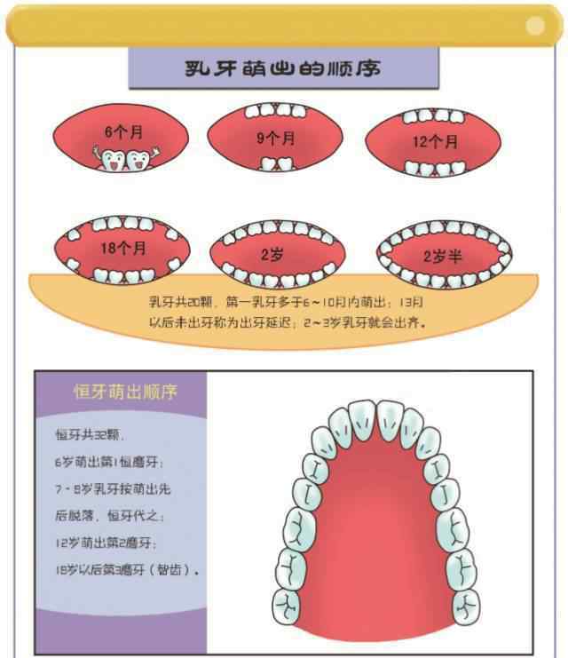 寶寶長(zhǎng)牙圖片最初圖 詳解：寶寶的長(zhǎng)牙時(shí)間，一張圖讓你秒懂寶寶長(zhǎng)牙順序