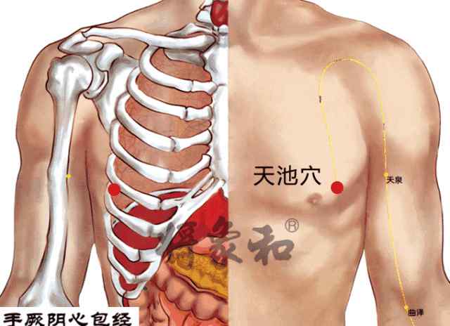 天池穴 乳房上有一穴位，它是女性的抗癌穴、長壽穴、快樂穴，有時間就灸一灸！