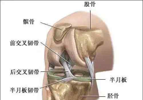 鍛煉膝蓋最好的方法 15個膝關(guān)節(jié)實用康復(fù)鍛煉方法