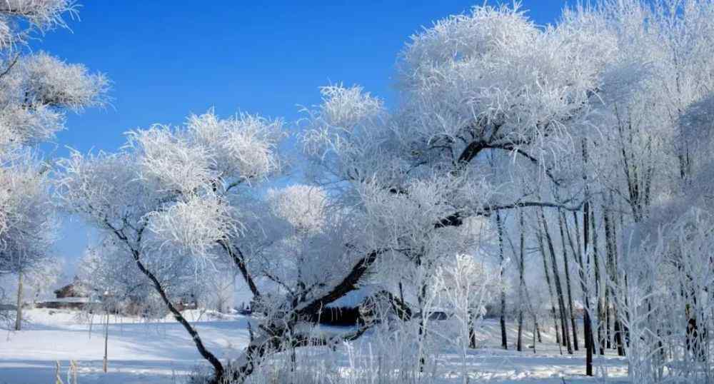 當(dāng)愛行走在冬季 行者丨8大賞雪勝地，在寒冷的冬季，最浪漫莫過于行走在大雪紛飛中