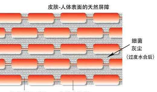 面膜一天敷幾次最好 一天一片面膜？邊洗澡邊敷面膜？這幾個敷面膜誤區(qū)別再犯！