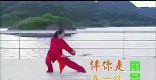 吳阿敏40式太極拳 吳阿敏楊式40式太極拳1-5式分解教學