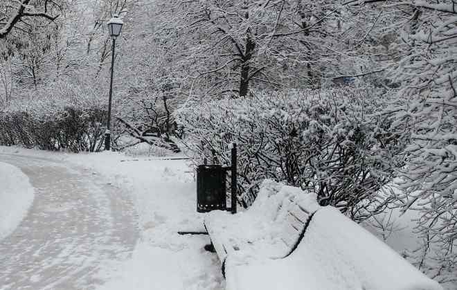 雪地上的腳印 大家小說 雪地上的腳印