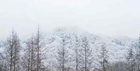 天線寶寶滑雪 成都周邊滑雪場，你pick哪一個？