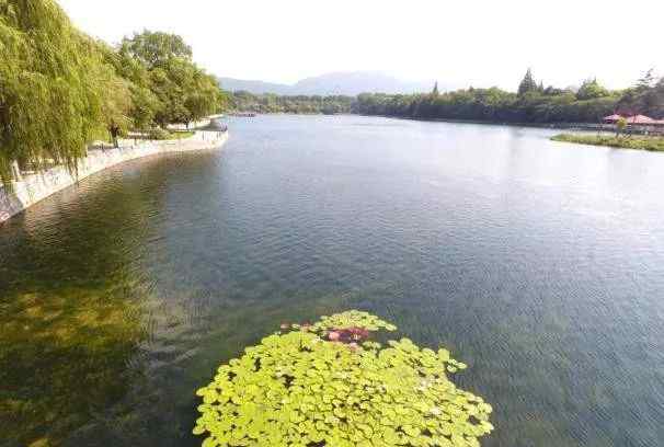 公園漫步 周末想放松身心？那就來這個小眾公園漫步吧！